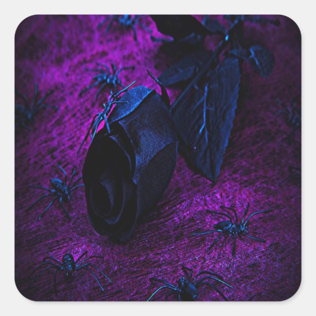 Rose aus schwarzem Material, Schwarze Spinnen Quadratischer Aufkleber (Vorderseite)