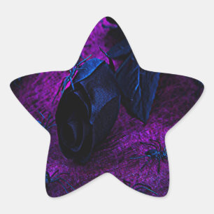 Rose aus schwarzem Material, Schwarze Spinnen Stern-Aufkleber