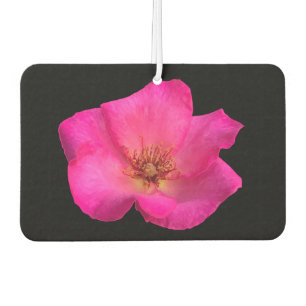 Rose Autolufterfrischer