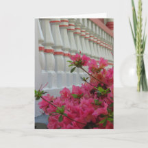 Rose Azaleas - Carte Vineyard de Martha