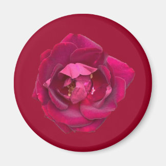 ROSE B MAGNET