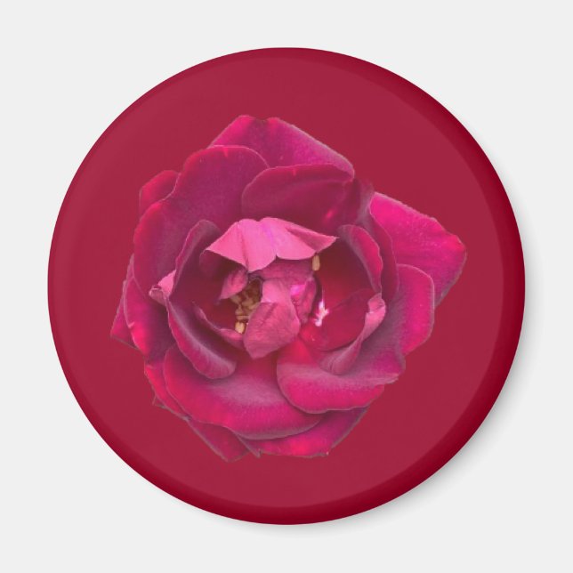 ROSE B MAGNET (Vorne)