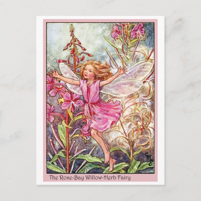 Rose-Bay Wilow-Herb Fairy Postkarte (Vorderseite)