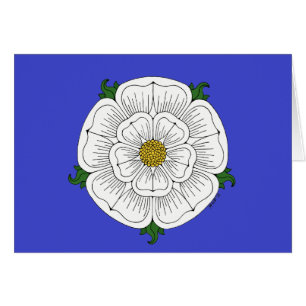 Rose blanc de carte de York