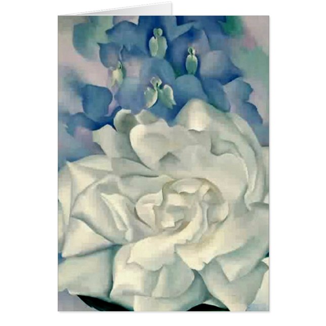 Rose blanc et pied-d'alouette de stupéfaction la (Devant)