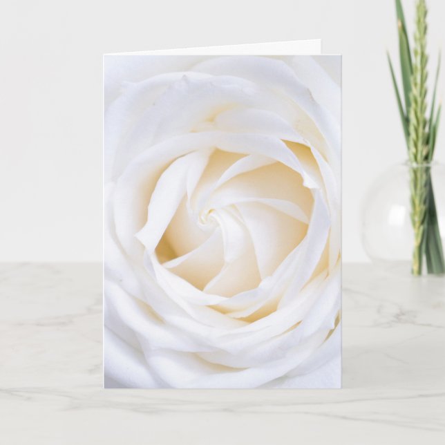 "ROSE BLANCHE" CARTE FLORALE (Devant)