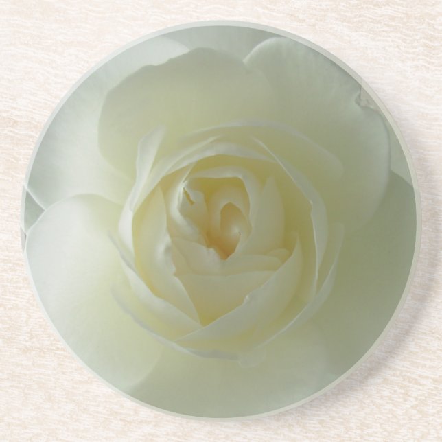 Rose blanche Dessous de verre Sunny Roses cadeaux  (Devant)