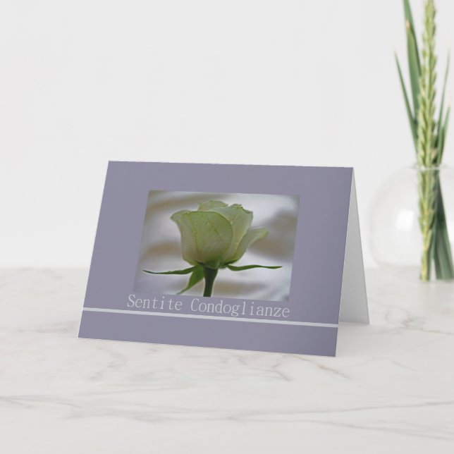 rose blanche sur carte de sympathie italienne gris (Devant)