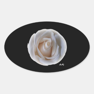 Rose blanche sur Sticker ovale noir
