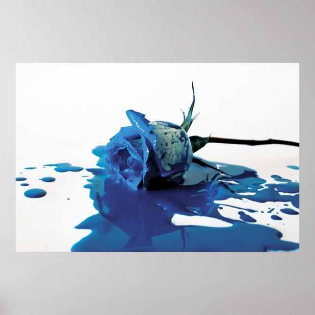 Rose blauer Blutungen Poster (Vorne)