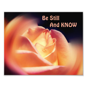 Rose bleiben und wissen inspirierendes Zitat 8x10 Fotodruck