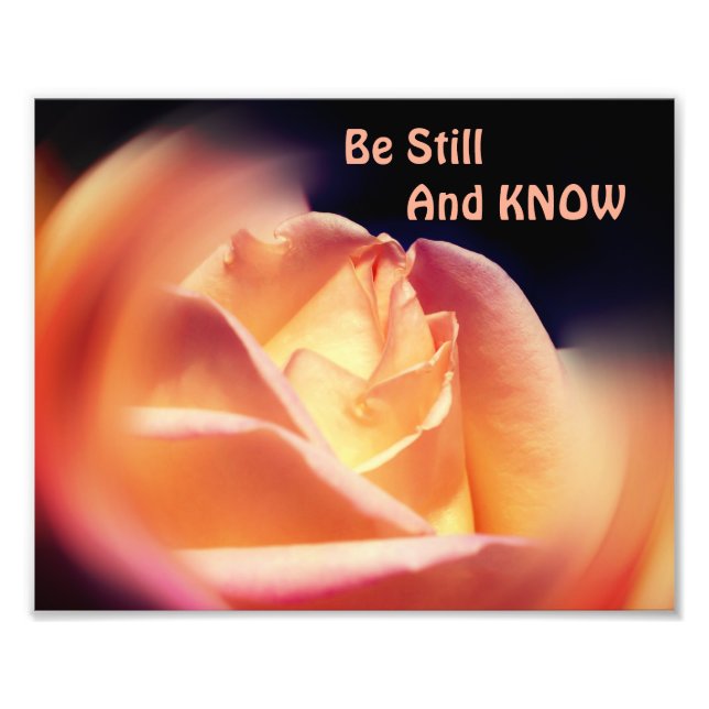 Rose bleiben und wissen inspirierendes Zitat 8x10 Fotodruck (Vorne)