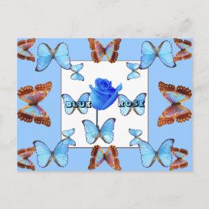 ROSE BLEU ! Carte postale