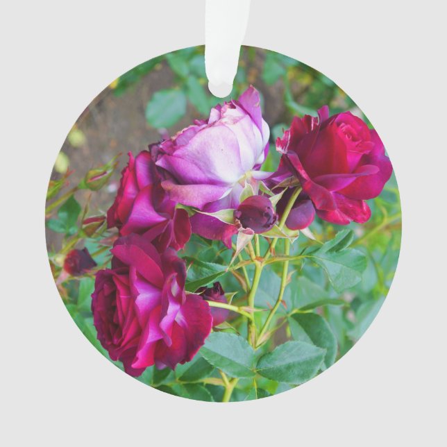 Rose bleu sauvage no 1 ornement (devant)