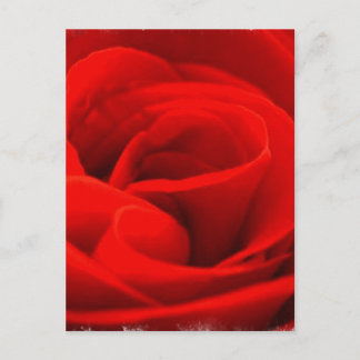 Rose Blossom Postkarte
