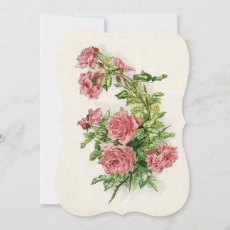 Rose blühen Weinberge Ballons Vintag