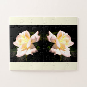 Rose Blume