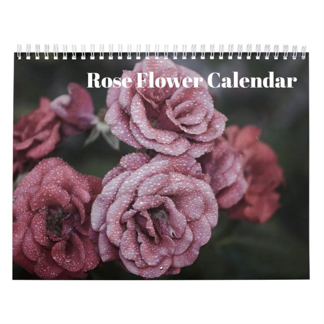 Rose Blume 2025 Kalender (Titelbild)