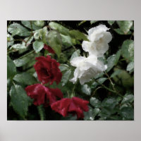 Rose Blume Aquarell Foto Malerei