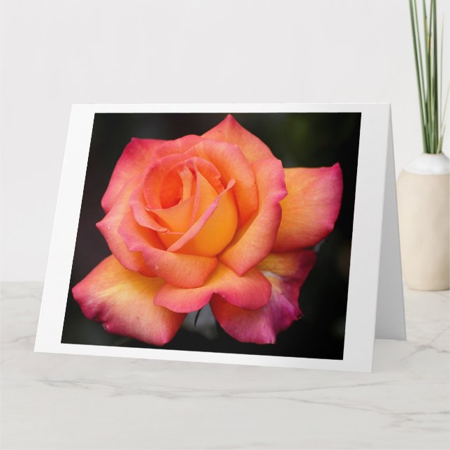 Rose Blume Blume Blüten Blüten Blätter Karte (Vorderseite)