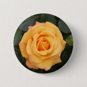 Rose Blume Blume Liebe Ehefrau Liebespaar Button
