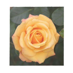 Rose Blume Blume Liebe Ehefrau Liebespaar Notizblock