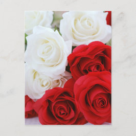 Rose Blume Blume Rote Liebe Postkarte
