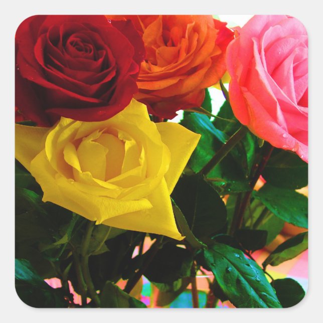 Rose Blume Bouquet Quadratischer Aufkleber (Vorderseite)
