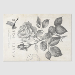 Rose Blume Dragonfly Französisch Postmark Decoupag Seidenpapier