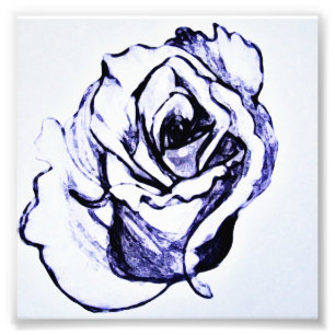 Rose Blume Fotodruck
