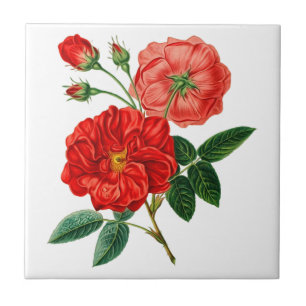 Rose Blume Keramik Tile Fliese