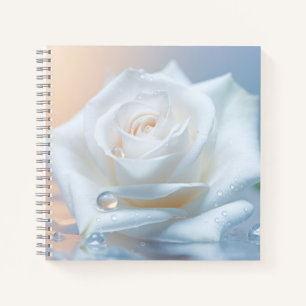 Rose Blume Petal Nature Ruhe Notizbuch