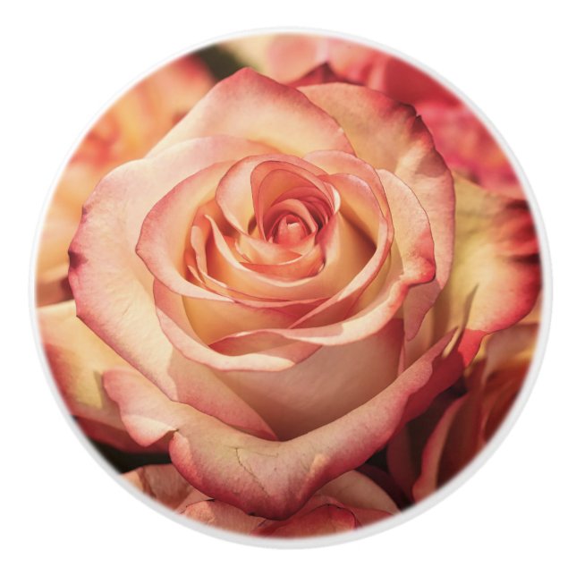 Rose Blume Petals Keramik Schublade Kabinettkasten Keramikknauf (Vorderseite)