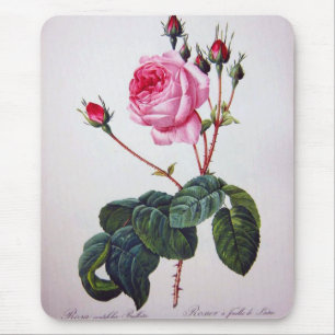 Rose Blume, Pierre Joseph Redouté Mousepad