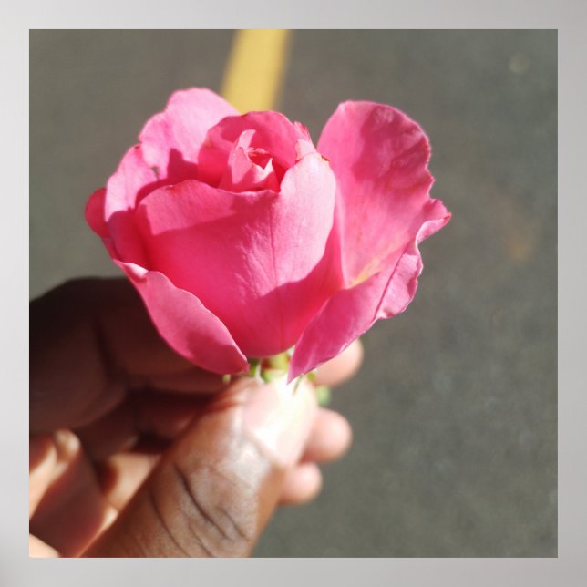 Rose Blume Poster (Vorne)