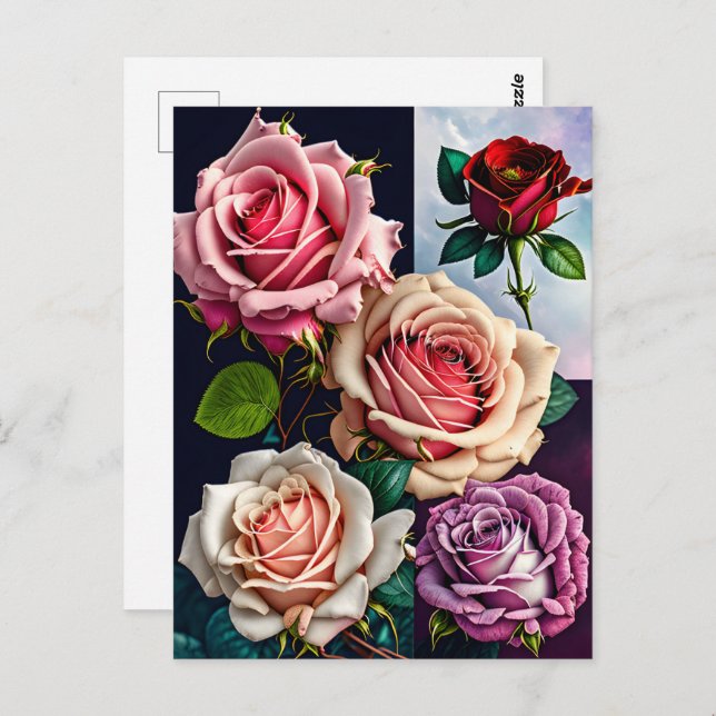 Rose, Blume, Postübergänge Postkarte (Vorne/Hinten)