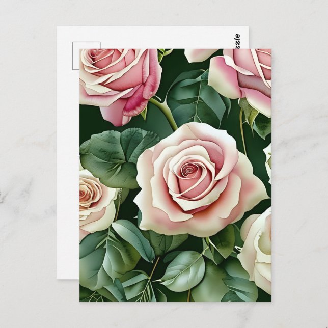 Rose, Blume, Postübergänge Postkarte (Vorne/Hinten)