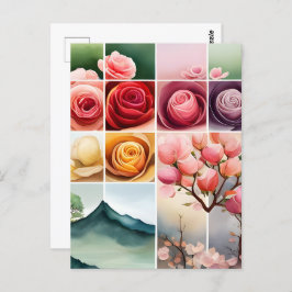 Rose, Blume, Postübergänge Postkarte