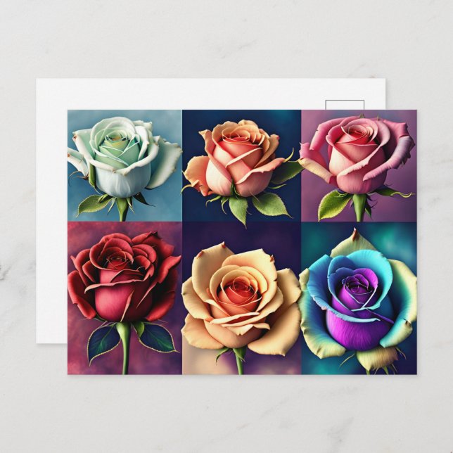 Rose, Blume, Postübergänge Postkarte (Vorne/Hinten)