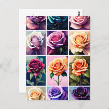 Rose, Blume, Postübergänge