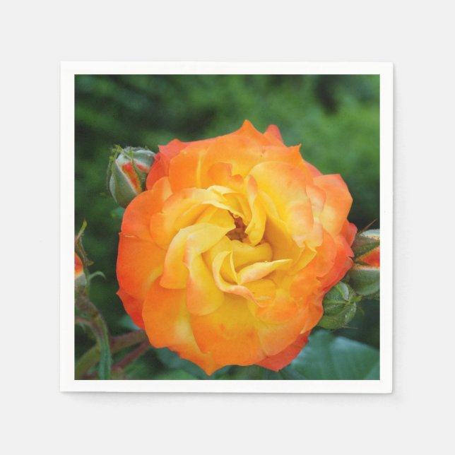 Rose Blume Standard Cocktail Napkin Serviette (Vorderseite)