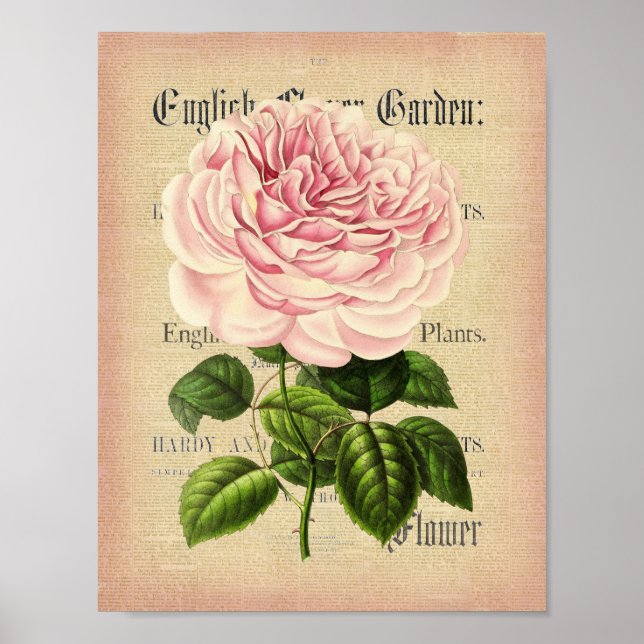 Rose Blume Vintages feminines Blumenposter Poster (Vorne)