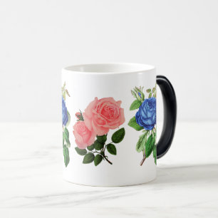 Rose Blumen Garten Schöne Aussicht Verwandlungstasse