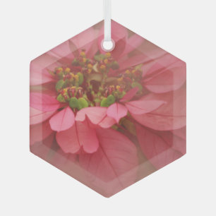 Rose Blush Poinsettias Art numérique Ornement en v