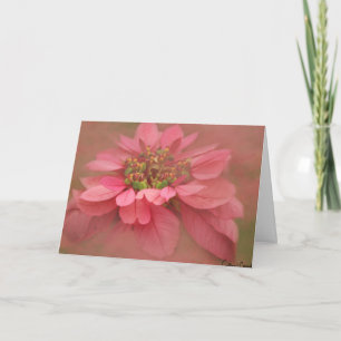 Rose Blush Poinsettias Digitale Kunst Karte