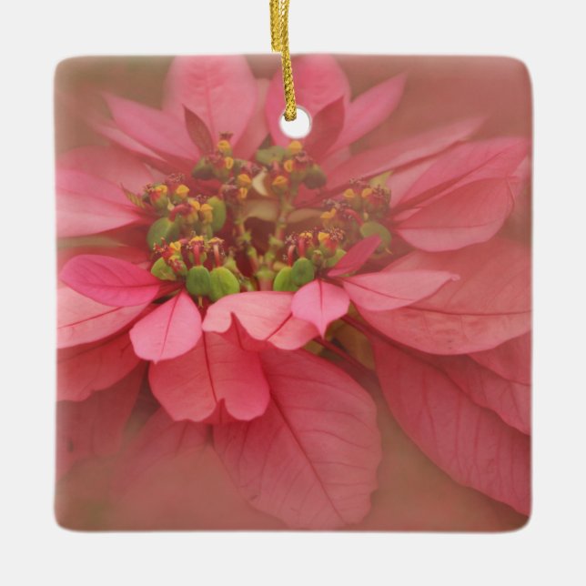 Rose Blush Poinsettias Digitale Kunst Keramikornament (Vorderseite)