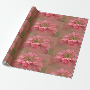 Rose Blush Poinsettien Digitale Kunst Geschenkpapier