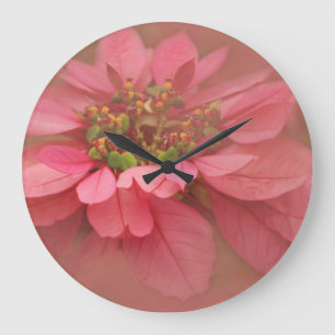 Rose Blush Poinsettien Digitale Kunst Große Wanduhr