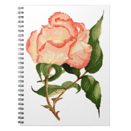 Rose botanische Aquarellfarbe Notizblock