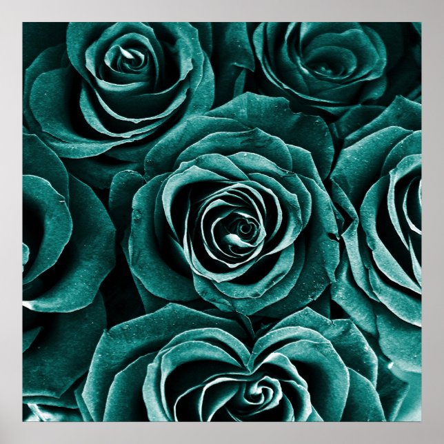 Rose Bouquet in Turquoise Poster (Vorne)